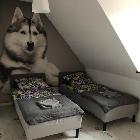 Apartament Lux-Centrum Gliwice Esterno foto
