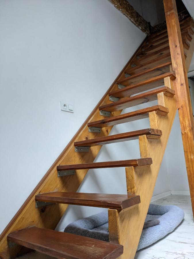 Apartment Lux-centrum
